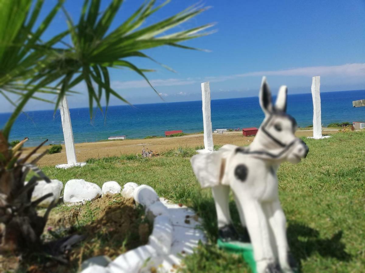 Perice Konak Sinop Kültér fotó